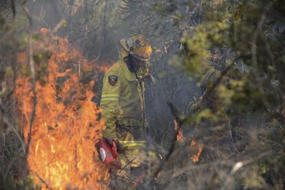 Un bombero camina entre las llamas durante las labores de extinción del incendio forestal declarado en la isla Bribie al norte de Brisbane (Australia) el 9 de enero de 2013.