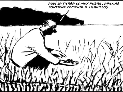 EL ROTO