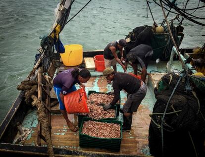 Pescadores preparándose para el acopio de marisco en el Puerto de San Juan del Sur.