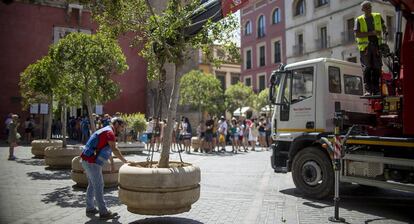 Large planters are placed in the tourist areas of Seville.