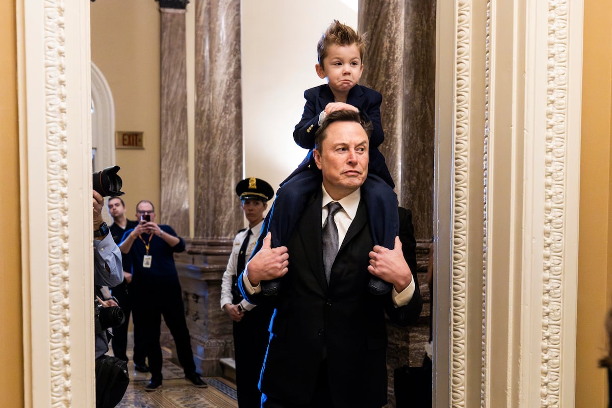 Musk and Ramaswamy advocate drastic public spending cuts in Congress