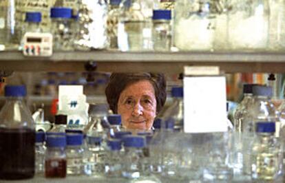 La bióloga Margarita Salas, en su laboratorio.