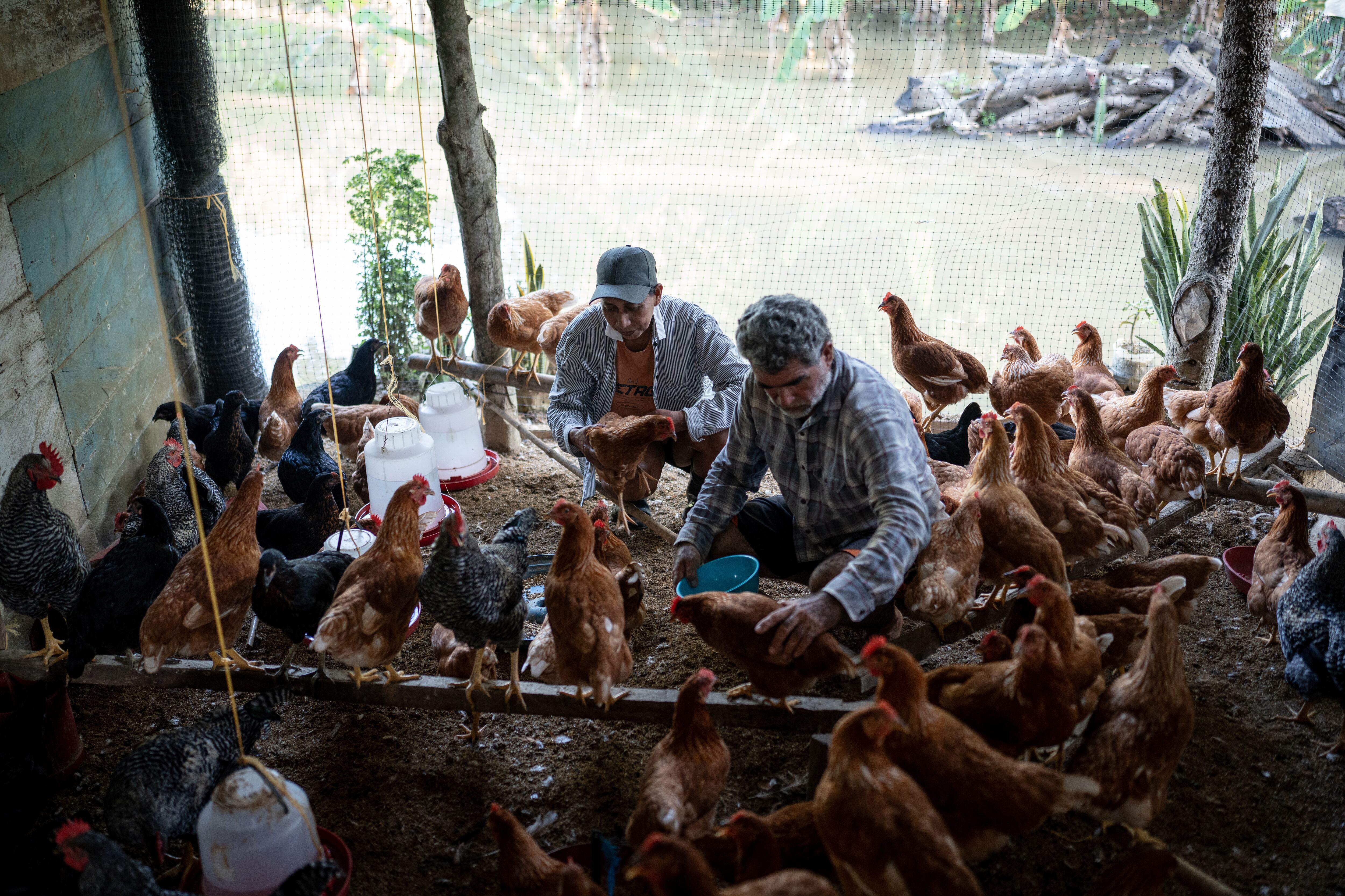 Gelbel Cárdenas y Aura Ramos en la vereda El Platanal, en Córdoba.
