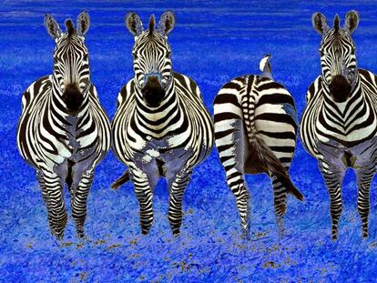 10 especies diferentes que encontraréis en Fitur 2012