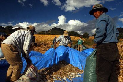 Campesinos en Bolivia.