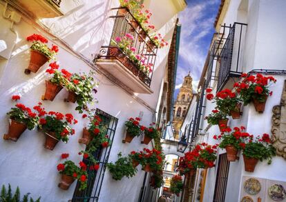 Varias fachadas de Córdoba llenas de macetas. Al fondo, la torre de la Mezquita-Catedral de la ciudad andaluza.