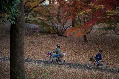 Dos ciclistas pedalean por un parque de Tokio, el pasado 1 de diciembre.