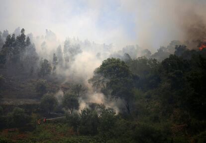 Unos bomberos intentan apagar el fuego del incendio forestal en Capelo (Portugal).