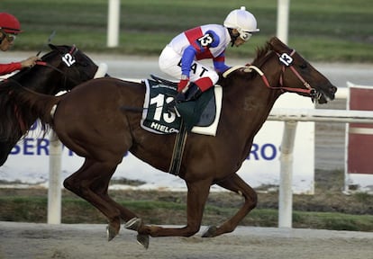 Eguard Tejera, sobre Hielo, consigue la victoria en el Gran Premio Jose Pedro Ramirez 