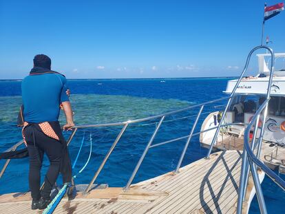 Un monitor de buceo otea una zona protegida en el mar Rojo, frente a Marsa Alam, en una imagen de archivo.