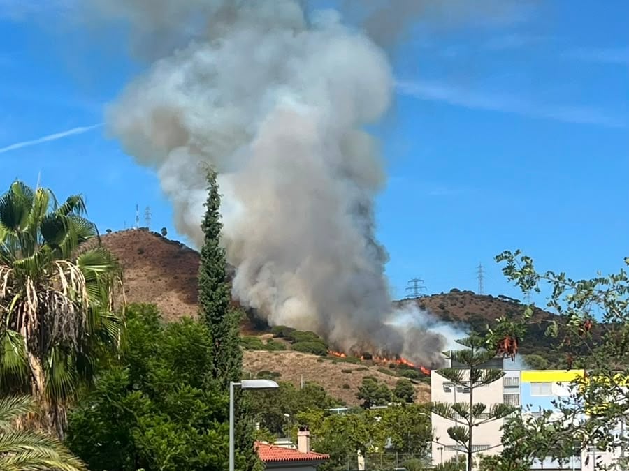 Un incendio afecta el parque natural de Collserola, en Barcelona
