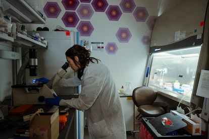 Una empleada de Envisagenics estudia células bajo un microscopio