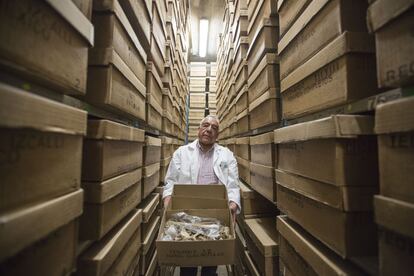 José Jiménez ha dedicado 34 años a ordenar los restos hallados en cientos de excavaciones arqueológicas. Los restos se limpian, clasifican y guardan en estas cajas de cartón.