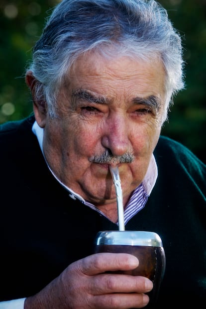 José Mujica bebe mate durante una entrevista con EL PAÍS en la residencia del embajador en Madrid, el 30 de mayo de 2013. 