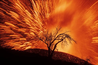 El 19 de septiembre, el volcán de Cumbre Vieja se desató. Era la primera erupción en La Palma desde 1971. No ha habido que lamentar víctimas mortales directas (sí una en tareas de limpieza), aunque miles de personas han perdido su hogar. Esta imagen es del 23 de septiembre. El 15 de diciembre comenzó la cuenta atrás para declarar el fin de la erupción del volcán.