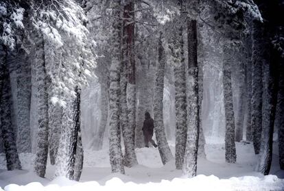 Un hombre camina entre la nieve en la estación de montaña de Cabeza de Manzaneda (Orense).