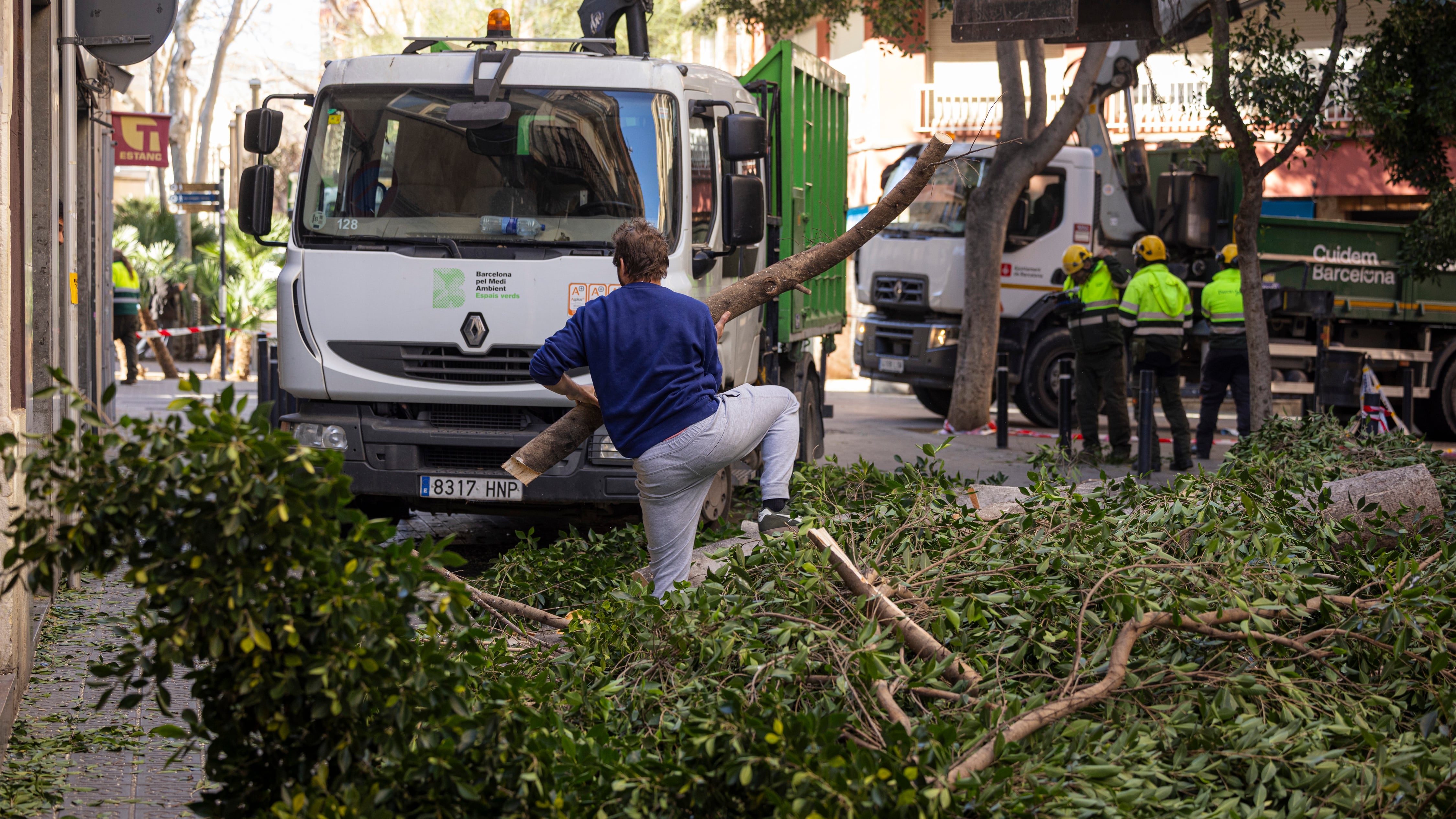 Árbol caído por la fuerza del viento en carrer de l'Olivera en Poble Sec, Barcelona, este jueves. 