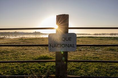 Vista del amanecer en Doñana, este jueves en El Rocío. 