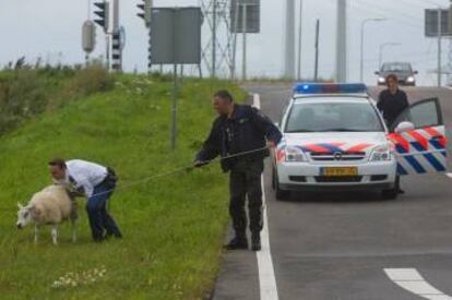 Miembros de la Policía de los Animales.