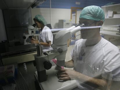 Laboratorio de la Unidad de Genética y Reproducción del Hospital Virgen del Rocío de Sevilla.