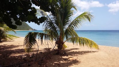 La playa junto a la que come el equipo de la serie.