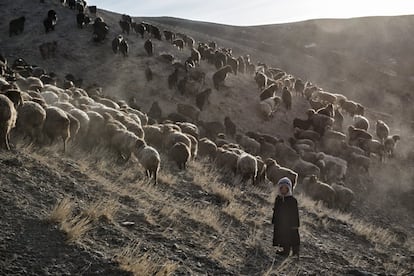 Las actividades al aire libre y la exposición a la luz solar disminuyen considerablemente el desarrollo de la miopía en niños. Por eso, los nómadas mongoles, como el de la foto, son los que menor prevalencia tienen.