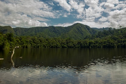 Laguna Paraíso en Bosque de Protección Alto Mayo, San Martín, Perú.