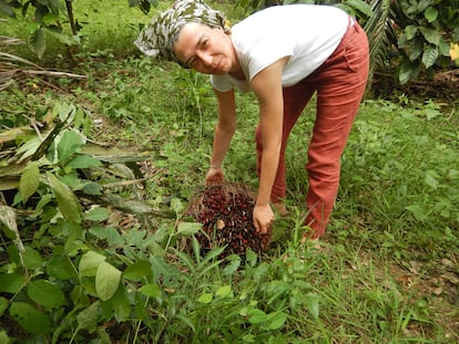 La antropóloga española Almudena Marí Sáez, durante un trabajo de campo, en abril.