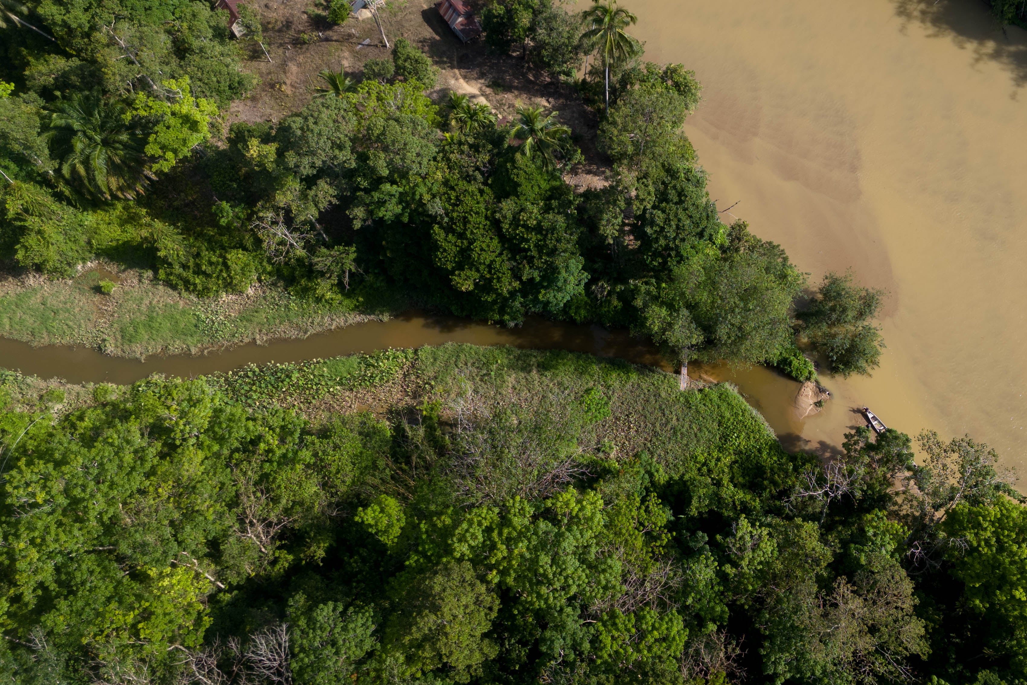Los indígenas semai luchan contra la fiebre de las tierras raras en Malasia
