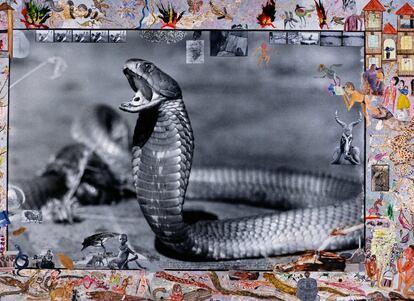 Cobra, Tsavo (Uganda), junio de 1960. Imagen del monográfico titulado Peter Beard que publicará la editorial Taschen a finales de abril.