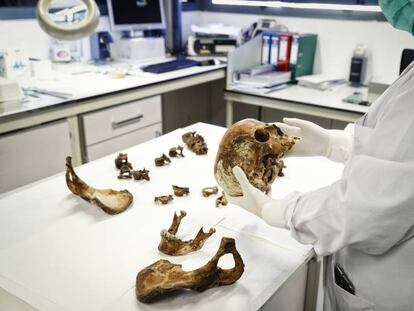 Una trabajadora del Instituto Nacional de Toxicolog&iacute;a analiza unos restos humanos.