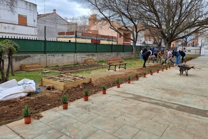 Regenerar la vida vegetal en los patios. Estudiantes de ESO y Bachillerato del Instituto Público de Educación Secundaria Alonso Quijano en Alcalá de Henares (Madrid).