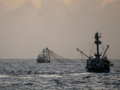 Un grupo de atuneros espa&ntilde;oles pescan en aguas del Oc&eacute;ano &Iacute;ndico. &nbsp;