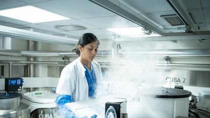 Una mujer trabaja en la sala de criopreservación de células el Hospital Clínic, en Barcelona.