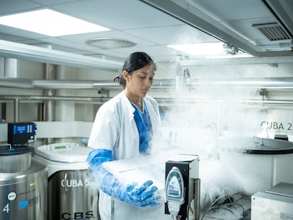 Una mujer trabaja en la sala de criopreservación de células en el Hospital Clínic, a 28 de septiembre de 2023, en Barcelona.