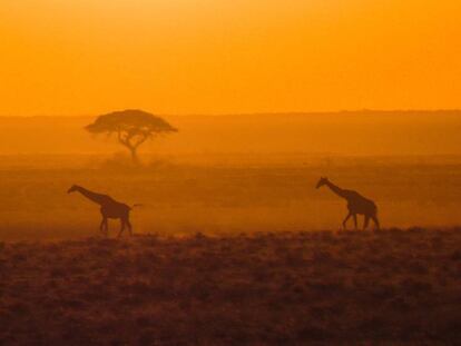 La botella que da luz y otras 19 curiosidades de Namibia