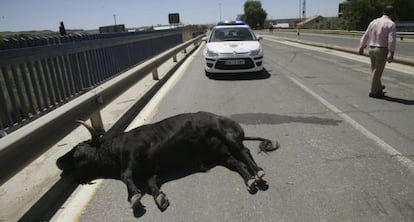 El toro ha sido embestido a la salida del Puente del Príncipe.
