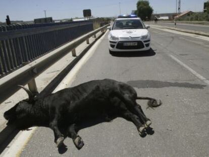 El toro ha sido embestido a la salida del Puente del Pr&iacute;ncipe.