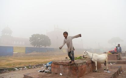 "Actualmente la situación es impropia para la vida humana" se alarmó el doctor Arvind Kumar del Sir Ganga Ram Hospital de Nueva Delhi. En la foto, un niño juega en la calle en el casco antiguo de Nueva Delhi.