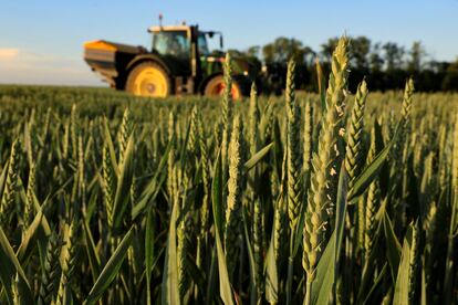Un granjero echa fertilizante nitrogenado en un campo de trigo en Inchy-en-Artois, Francia.
