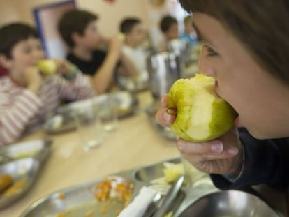 Terrassa suspende la adjudicación a Serhs de los comedores escolares