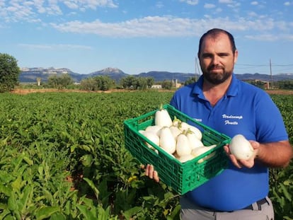 Las berenjenas blancas de Verdcamp Fruits, apoyadas vía 'crowdfunding' por Carrefour.
