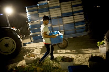 La menor temperatura a la que llega la uva a los tanques de almacenamiento hace que se requiera menos energía para refrigerarlos, reduciendo el consumo de electricidad.