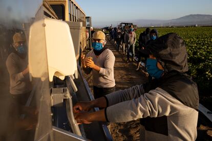 Personas con la visa H-2a se lavan las manos antes de trabajar en un campo en Greenfield (California), en abril de 2020.