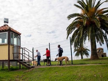 Tres internos de la prisión de El Dueso (Santoña, Cantabria) pasean a los perros por el recinto penitenciario.