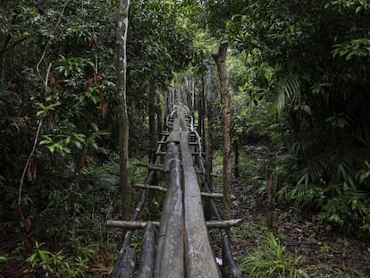 Apoyo sin intermediarios para los guardianes de los bosques del mundo 