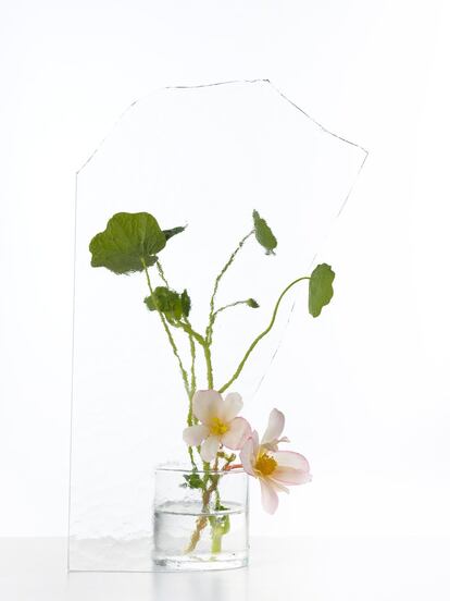 begonias y capuchinas (Tropaeolum majus).