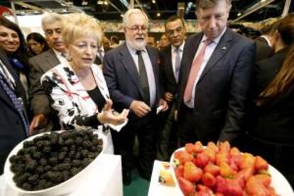 El ministro de Agricultura, Alimentacin y Medio Ambiente, Miguel Arias Ca?ete (c), junto a la consejera de Agricultura y Pesca de Andaluca, Elena Vboras durante la inauguracin de Fruit Attraction, la feria organizada por la Federacin de Productores Exportadores de Frutas y Hortalizas (Fepex) y por la Institucin ferial madrile?a Ifema, hoy en Madrid.