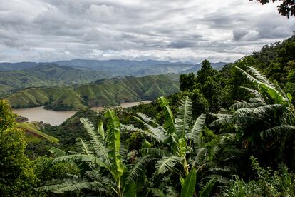 MATA ATLÁNTICA. La Mata Atlántica es el bioma más amenazado de Brasil. Esta selva tropical, que originalmente tenía tanta o más biodiversidad que la Amazonia, se extendía originalmente por todo el este de Brasil hasta el norte de Argentina, pero ahora conserva menos del 10% debido de su territorio original por la deforestación. En una hectárea de este bosque se puede encontrar alrededor de 450 especies de árboles. Tiene el 7% de las especies de plantas y el 5% de las especies de animales vertebrados del mundo.