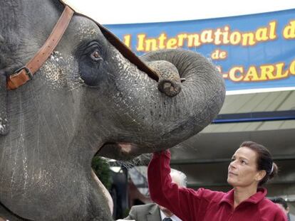 La princesa Estefan&iacute;a de M&oacute;naco con un elefante del Circo Internacional de Montecarlo, en enero de 2013.